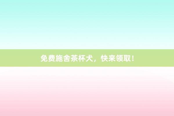 免费施舍茶杯犬，快来领取！